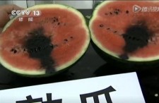 吃瓜娱乐揭秘吃瓜视频,揭秘娱乐圈幕后真相