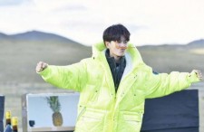 娱乐吃瓜任嘉伦,娱乐吃瓜界的“瓜王”